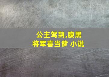 公主驾到,腹黑将军喜当爹 小说